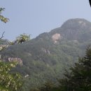 수리봉소남백이 이미지