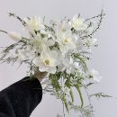 이모레국수 | 스튜디오콜레트 촬영 후기 with 초은작가님