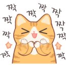 베스트오토서비스 이미지