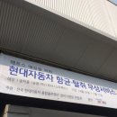 푸른손