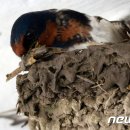 수옥경로당 이미지