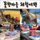 심동리산촌영농조합법인 | 충남 판교권역 심동리 산촌마을 /꽃향마을 체험여행