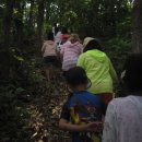 야생초마을아미골 이미지