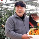 샤인민박 이미지