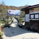 김미숙농장 이미지