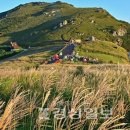 대아약국 이미지