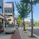 힐스템생활건강(대실지점) | 샵 근처에 오픈한 다이소 대구대실역점 방문후기 ^^