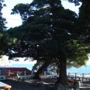 독도전망삭도시설 이미지