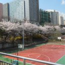산본중앙공원 이미지