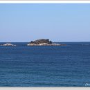 바다정원 이미지