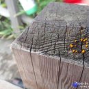 창수동쉼터 이미지