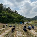 영광축산 이미지