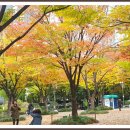 시계탑 광장 이미지