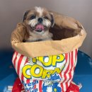 무프스 유치원 이미지