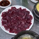 뽑심당 | 대전 뭉티기 맛집 대장집 대구한우뭉티기 육회비빔밥 육회맛보기 솔직후기