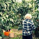 태연2농장 이미지