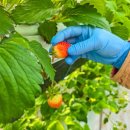 재인 농장 이미지