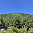 발구덕중간 이미지