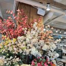 소방서4거리 현대가구 | 논현 가구거리 인테리어 웨스트엘름 주차 방문 후기 신혼부부 가구 포터리반 키즈 아이 방 꾸미기