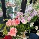 데이지플라워샵 이미지