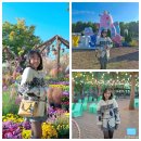 영등포구 대림2동주민센터 주민열린공간 | [서울 동작구] 가을 꽃구경 다녀온 신림 보라매공원 | 얼마 안 남은 2025 서울 국제 정원박람회