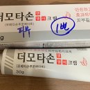 엠엘이 티스토리