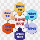 사랑머리방 - 춘천시 | 사랑머리방