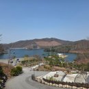 충청북도동물위생시험소 | 충청북도 증평 벨포레 콜밴 대형택시 기사포함 렌트카 1박도 당일치기도 모두 모스트 노블레스