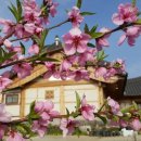 복사골농장 이미지