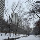 남문로102번길 이미지