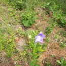 갑산농장 이미지