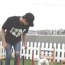 비비야나 Daum카페