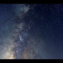 계수나무토끼한마리 이미지