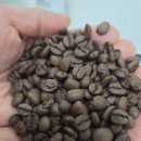 반디가스앤오일(주) | 산미 없는 맛있는 원두 추천! 브라질 세라도 구매 후기