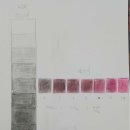 파랑청과 이미지