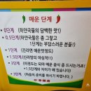신다방 - 창원시 마산회원구 | [대전 노은동 맛집]-신라방 노은점/마라탕 전문점/마라탕 맛집/오픈 이벤트/내돈내산/솔직후기