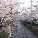 정훈렌트 이미지