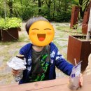 (주)미리본 | [강원도 여행1]설악산 국립공원, 신흥사 다녀왔어요~!(미리본 부처님 오신날, 캠핑 첫날)