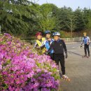 카이스트 후문 이미지