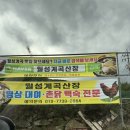 월성계곡산장 | 거창맛집,경남거창맛집 추천 : 물놀이 하기 좋은 촌닭백숙맛집 월성계곡산장 방문후기