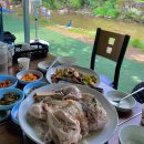 월드펫(애완동물할인매장) 이미지