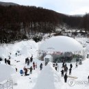 태백산 눈축제 이미지