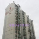 수림치과의원 네이버블로그