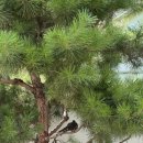 남원 | 남원 숙소 광한루원 근처 스테이리운 후기