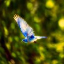 파랑새 - 로또 1등 당첨 44억 입금된 소회 이미지