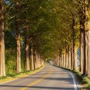 백양사(천안) 이미지