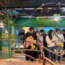 찬미통닭 | 제주 한달살이 14,15일차 [ 홀수 - 모모쥬동물원 - 명월다락 - 고집돌우럭 - 글로시말차 - 돌담통닭 ]