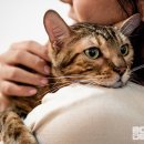 용강동물병원 이미지