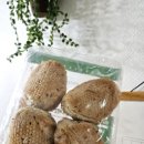 좋은아침bread 이미지