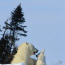 사진마을 이미지